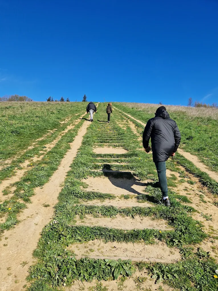 Randonnée en plein air : des jeunes gravissent une colline avec leurs accompagnants